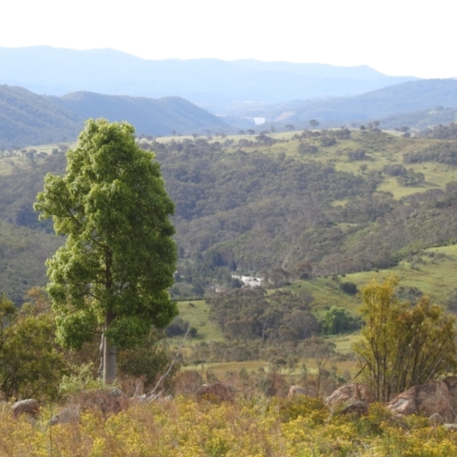 Forster Hill, Bullen Range Nature Reserve