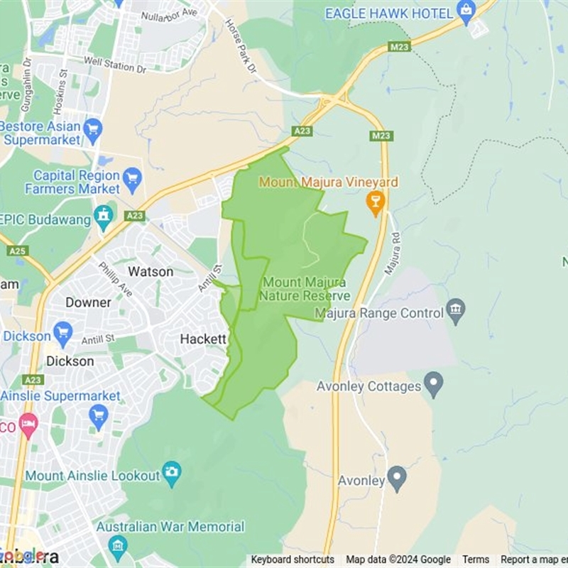 Mount Majura field guide