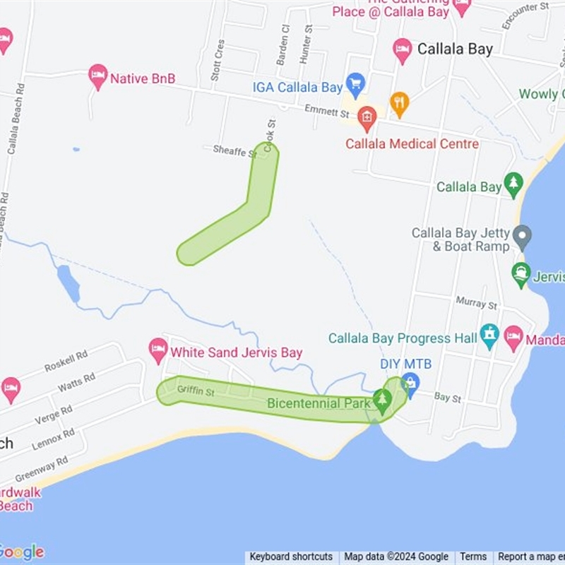 Callala Walking Track field guide