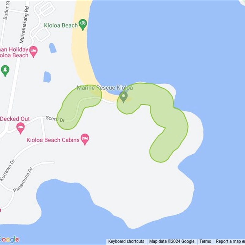 OHara Headland Walking Track field guide