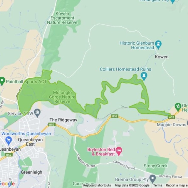 Molonglo Gorge field guide