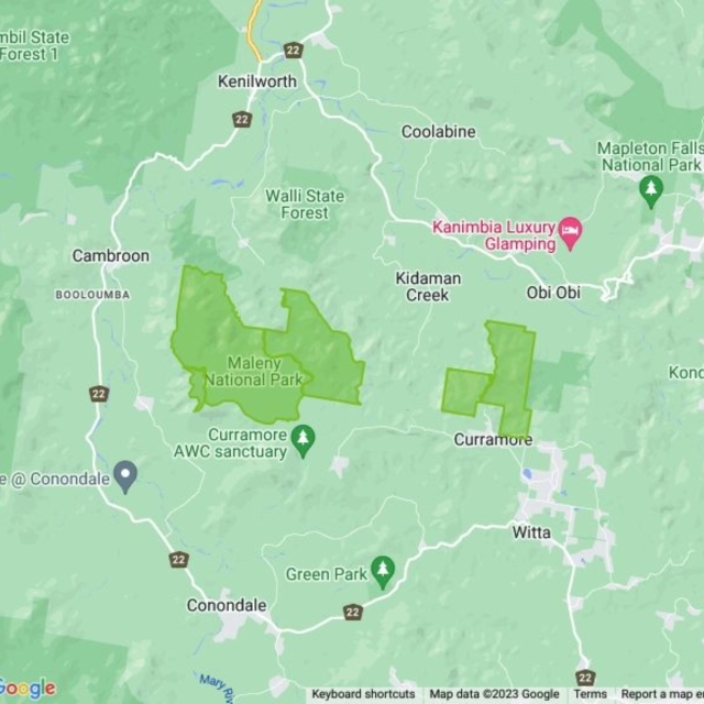 Maleny National Park field guide