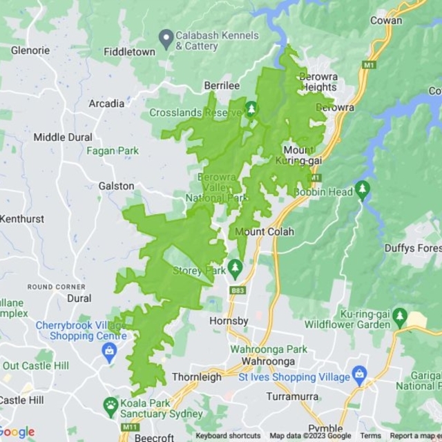 Berowra Valley National Park field guide