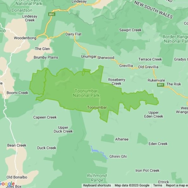 Toonumbar National Park field guide