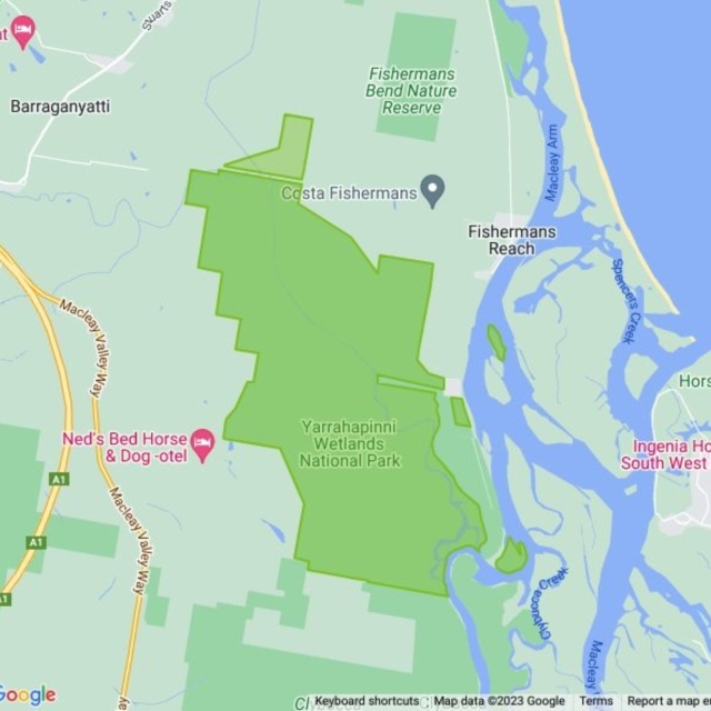 Yarrahapinni Wetlands National Park field guide