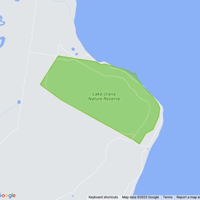 Lake Urana Nature Reserve field guide