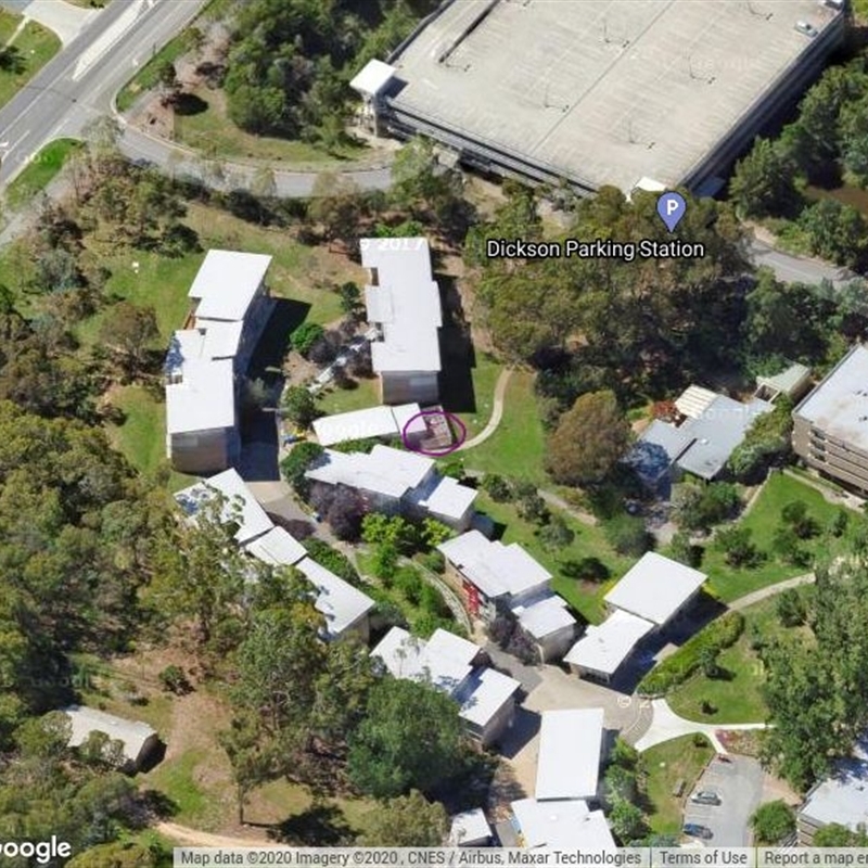 ANU042: Constructed pond, adjacent to Dickson Rd Carpark, Acton