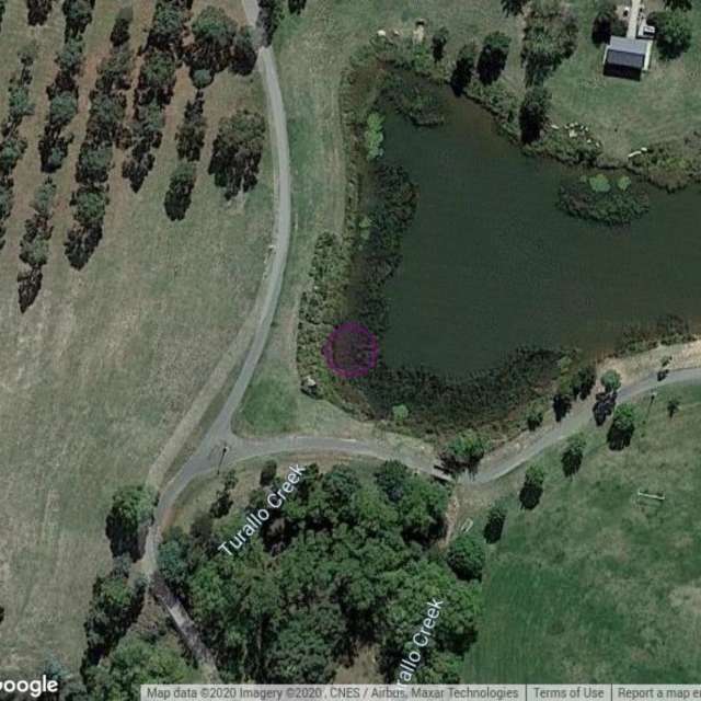 BUN100: Elmslea water quality ponds, Bungendore