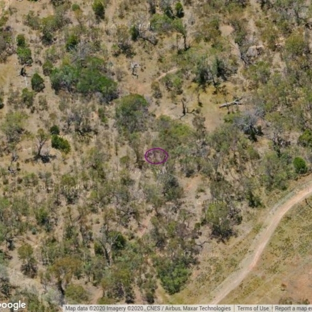 FMC160: Mt Majura drainage line, upstream. At grey stump.