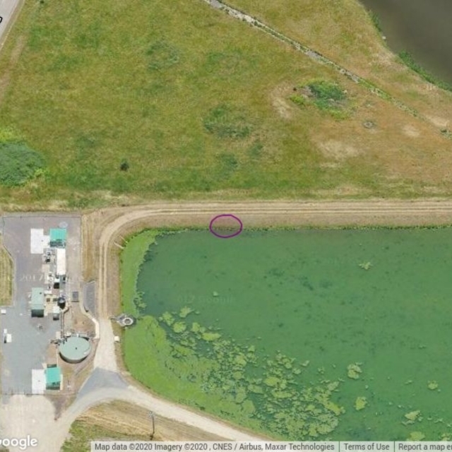 JER660: JWs - Sewer Pond (near pump station)