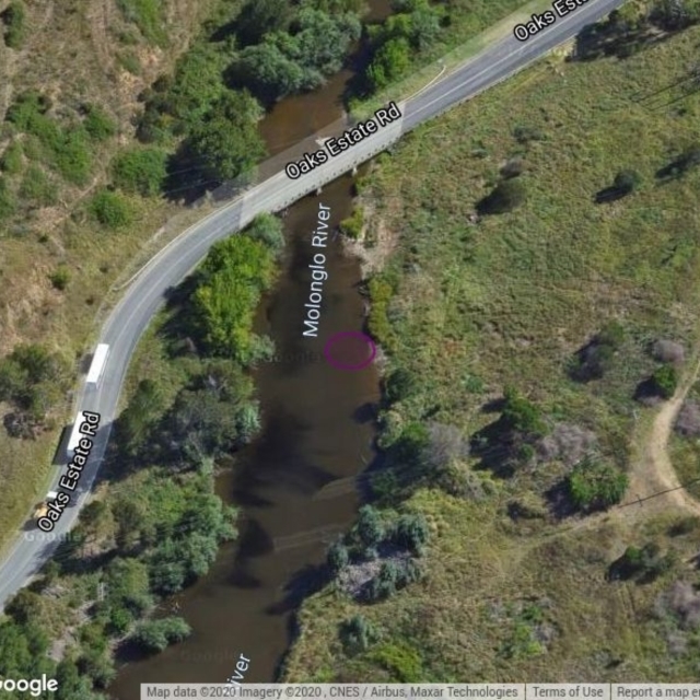 MOL606: Molonglo River Upstream at Oaks Estate Rd Causeway