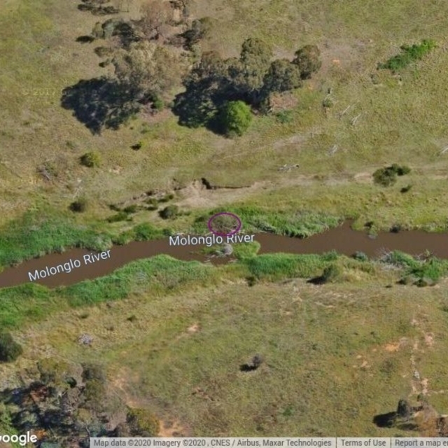 MOL609: Molonglo River Upstream Old Bridge on Yass Rd Qbyn