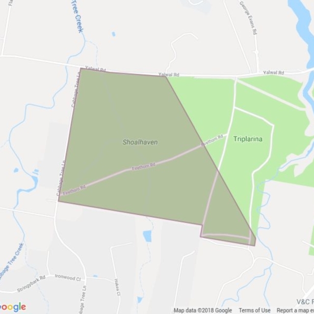 Shoalhaven State Forest field guide