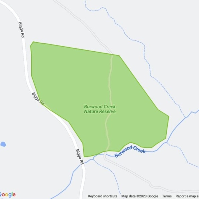 Burwood Creek Nature Reserve field guide