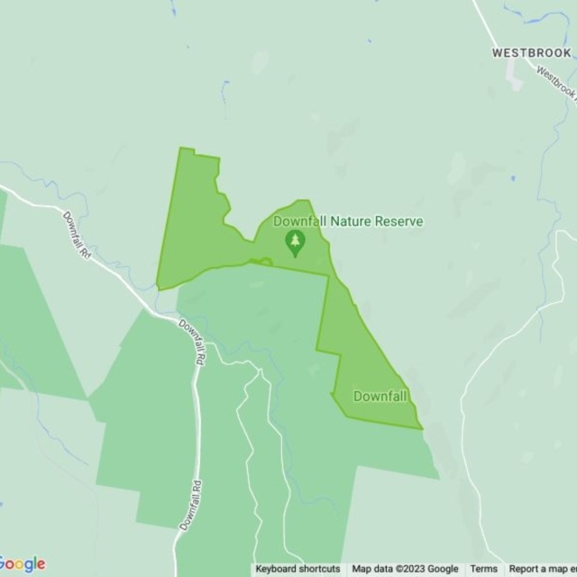 Downfall Nature Reserve field guide