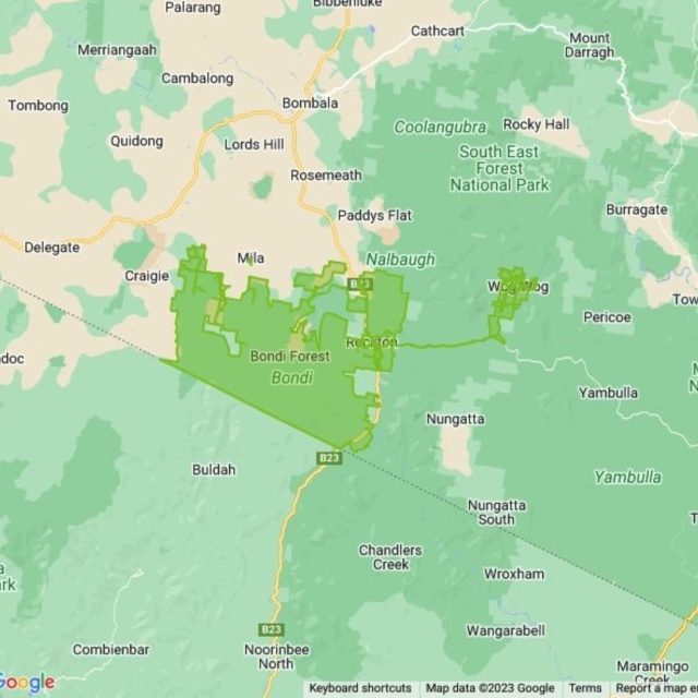 Bondi State Forest field guide