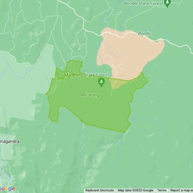 Micalong State Forest field guide