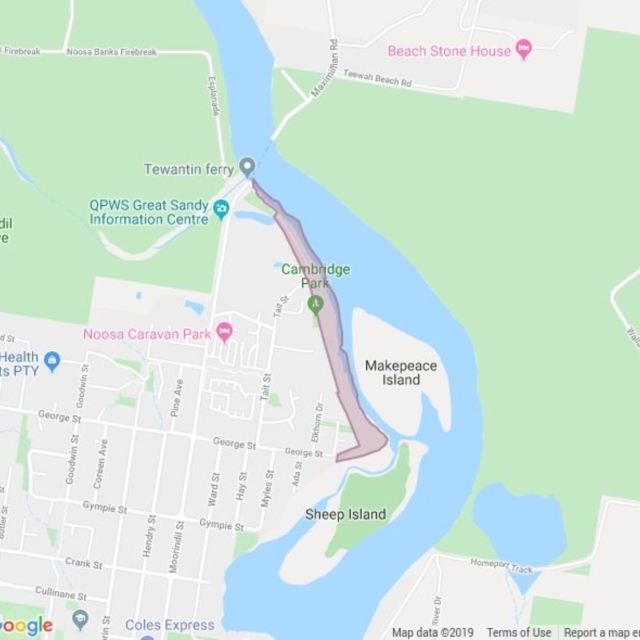 Noosa River Esplanade field guide