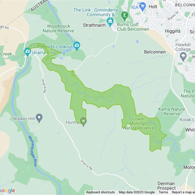 Lower Molonglo field guide