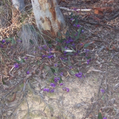 Hardenbergia violacea (False Sarsaparilla) at Nicholls, ACT - 21 Sep 2003 by gavinlongmuir