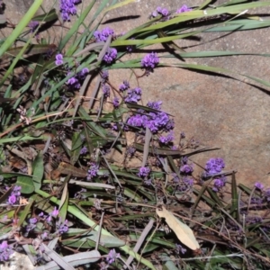 Hardenbergia violacea at Point Hut to Tharwa - 19 Aug 2014