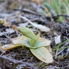 Unidentified - 30 Aug 2014 by AaronClausen