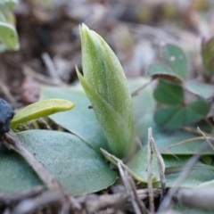 Unidentified - 30 Aug 2014 by AaronClausen