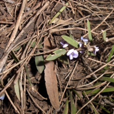 Hovea heterophylla (Common Hovea) at Majura, ACT - 13 Aug 2016 by SilkeSma