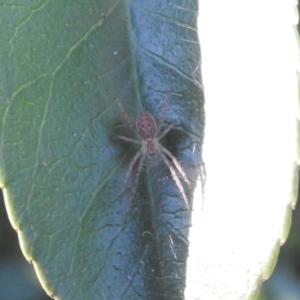 Unidentified at suppressed - 14 Aug 2016