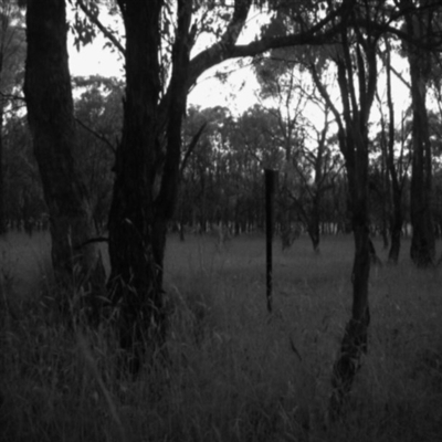 Unverified at Mulligans Flat - 30 Dec 2016 by MulligansFlat1