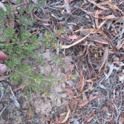 Unverified at Greenleigh, NSW - 13 Jan 2016 by CCPK