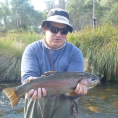 Oncorhynchus mykiss at Cotter River, ACT - 30 Apr 2014 03:38 PM