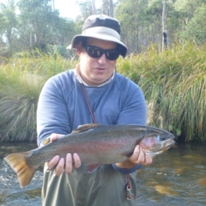 Oncorhynchus mykiss at Cotter River, ACT - 30 Apr 2014