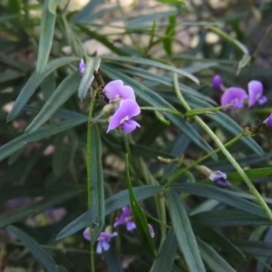 Glycine clandestina at Fadden, ACT - 16 Nov 2016 06:51 PM