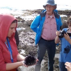 Unidentified Sea Urchin at Eden, NSW - 21 Jun 2013 by MichaelMcMaster