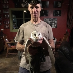 Tyto alba at Dignams Creek, NSW - 25 May 2019 09:40 PM