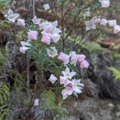  at Morton National Park - 27 Oct 2019 by Margot