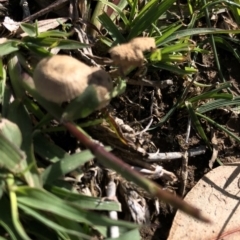 Unidentified at suppressed - 4 Apr 2020