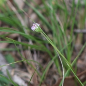 Unidentified at suppressed - 15 Apr 2020