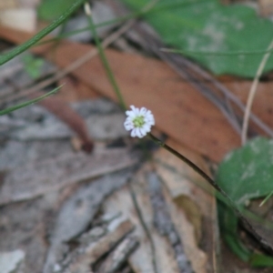 Unidentified at suppressed - 15 Apr 2020