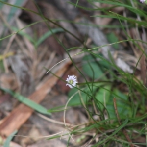 Unidentified at suppressed - 15 Apr 2020