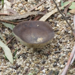 Unidentified at suppressed - 27 Jun 2020