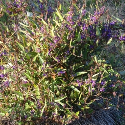 Hardenbergia violacea (False Sarsaparilla) at Isaacs Ridge - 9 Jul 2020 by Mike