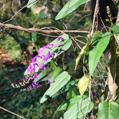 Hardenbergia violacea (False Sarsaparilla) at Ulladulla, NSW - 5 Aug 2020 by gem.ingpen@gmail.com