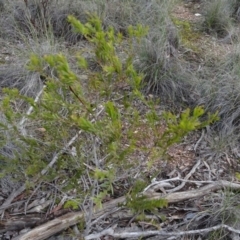 Unidentified at suppressed - 16 Aug 2020