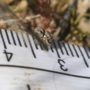 Unidentified at suppressed - 29 Aug 2020