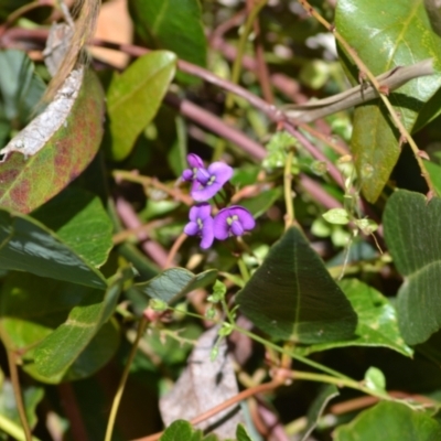 Hardenbergia violacea (False Sarsaparilla) at Yass River, NSW - 3 Nov 2020 by 120Acres