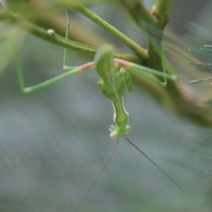 Unidentified at suppressed - 18 Feb 2021