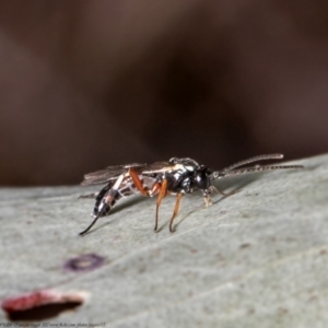 Unidentified at suppressed - 8 Jul 2021