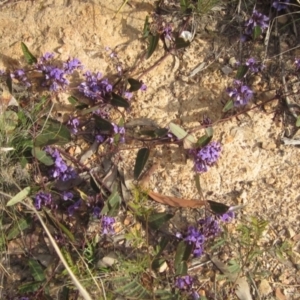 Hardenbergia violacea at Bruce, ACT - 21 Aug 2021